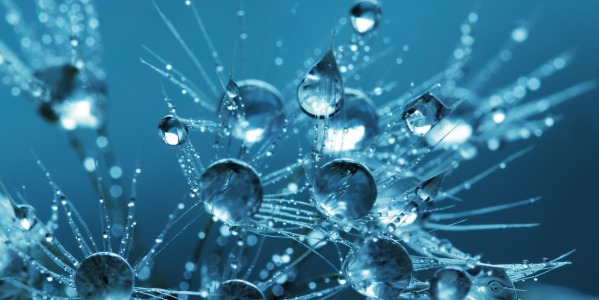 Tipos de líquidos para lentillas